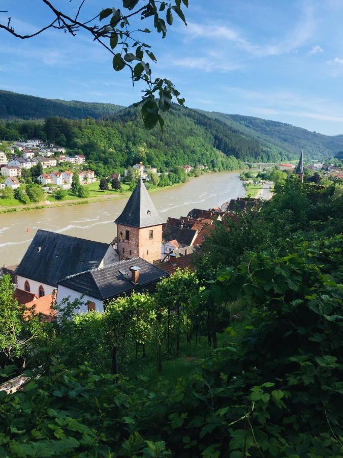Neckarblick,Natur, Altstadt هيرشهورن المظهر الخارجي الصورة