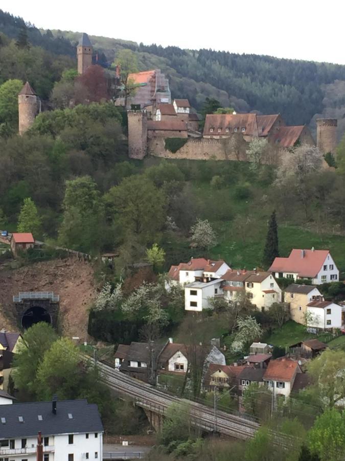 Neckarblick,Natur, Altstadt هيرشهورن المظهر الخارجي الصورة