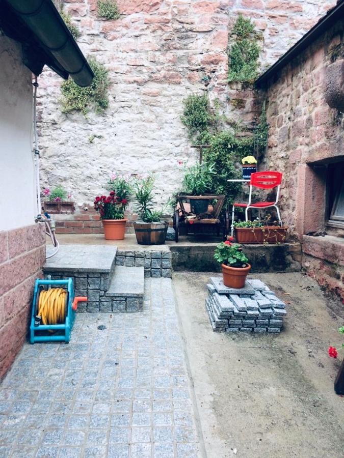 Neckarblick,Natur, Altstadt هيرشهورن المظهر الخارجي الصورة