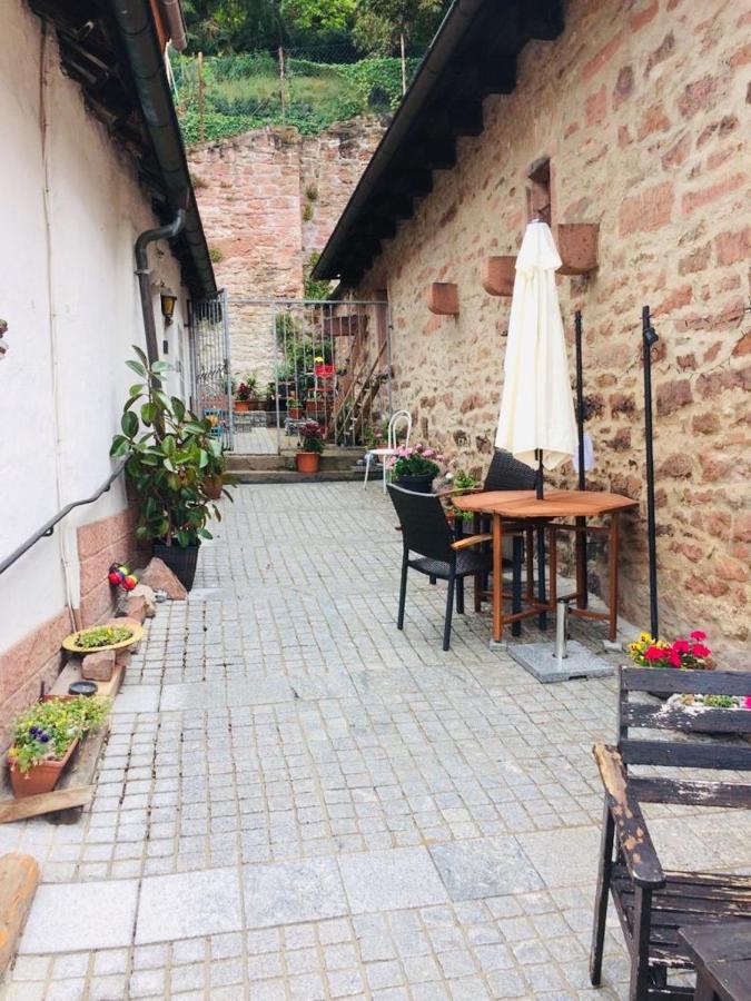 Neckarblick,Natur, Altstadt هيرشهورن المظهر الخارجي الصورة