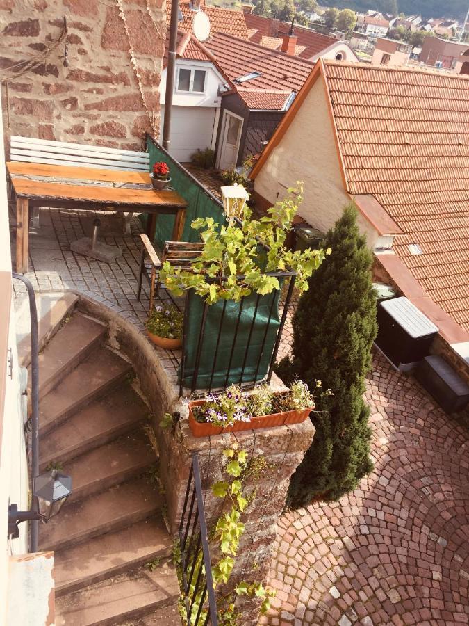 Neckarblick,Natur, Altstadt هيرشهورن المظهر الخارجي الصورة