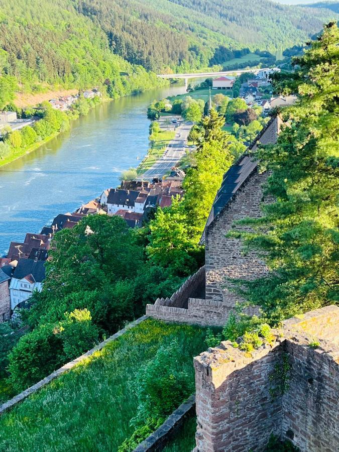 Neckarblick,Natur, Altstadt هيرشهورن المظهر الخارجي الصورة