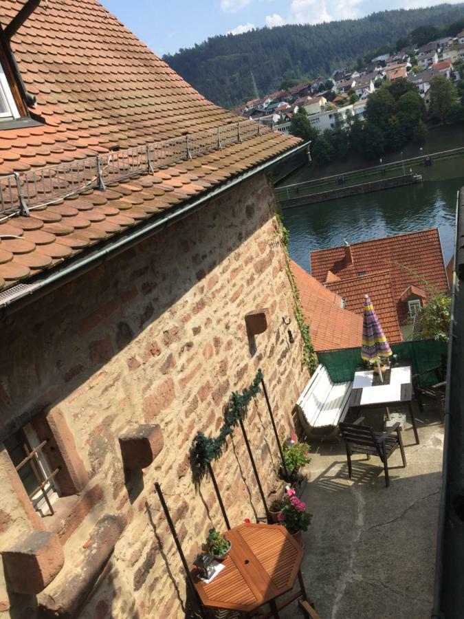 Neckarblick,Natur, Altstadt هيرشهورن المظهر الخارجي الصورة