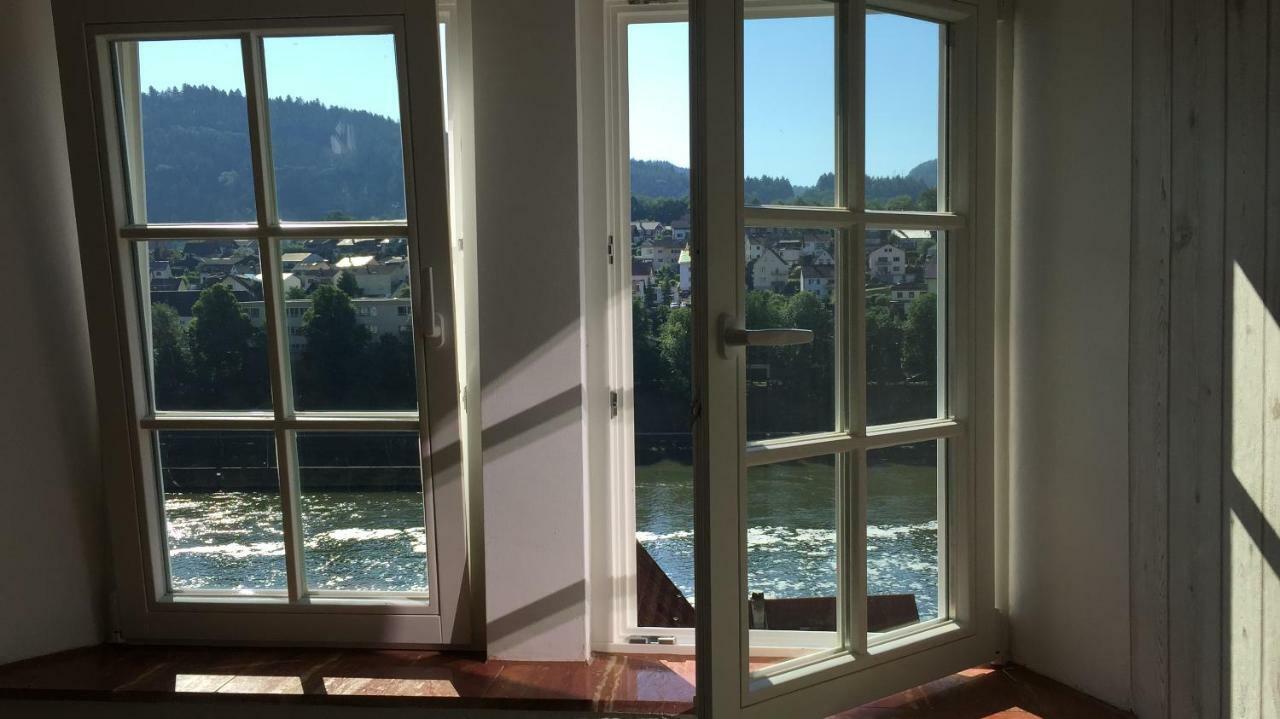 Neckarblick,Natur, Altstadt هيرشهورن المظهر الخارجي الصورة