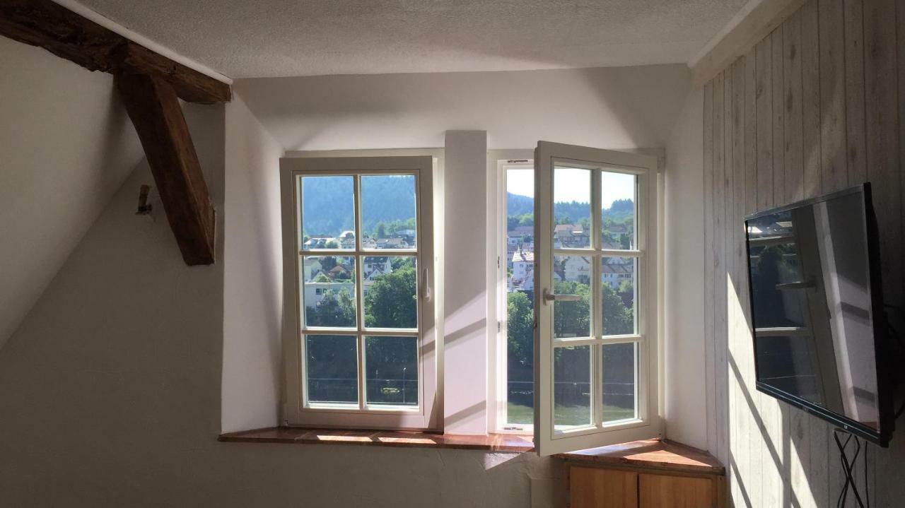 Neckarblick,Natur, Altstadt هيرشهورن المظهر الخارجي الصورة